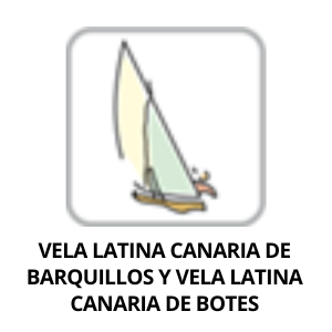 Vela latina icon